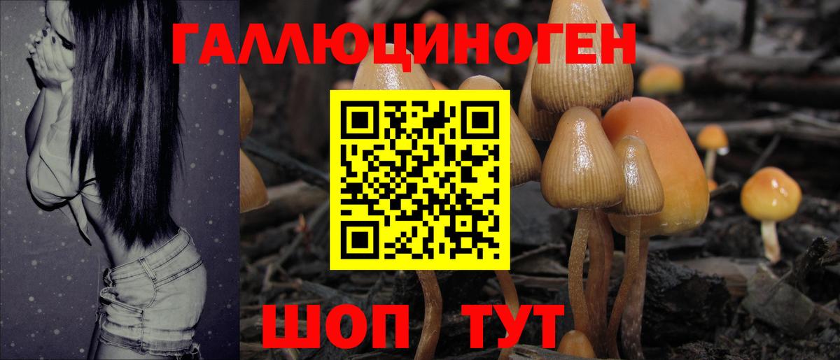 Улан-Удэ  Галлюциногенные грибы Magic Shrooms  Вход с VPN 